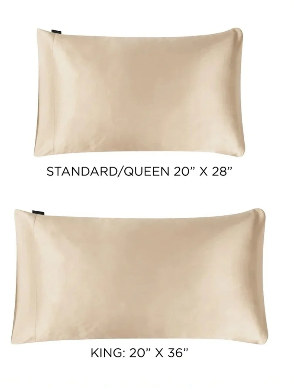 Discover Night Satin Luxury Washable Pillowcases 2PK Queen/Standard -Champagne